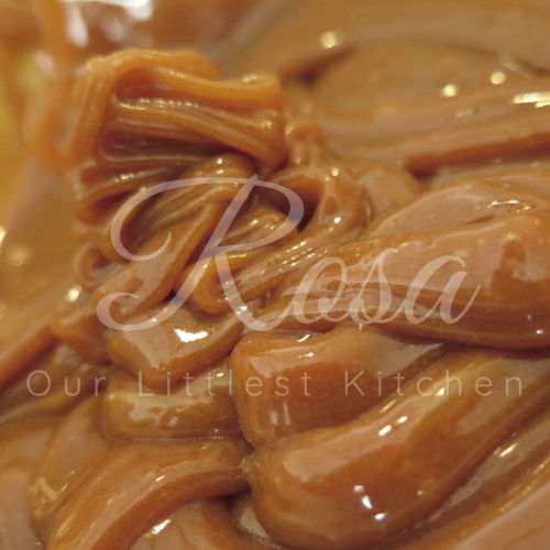GFDF Salted Caramel Gelato